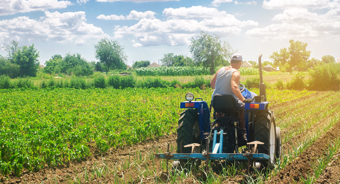 La Junta abona más de 96 M€ por los pagos de la PAC