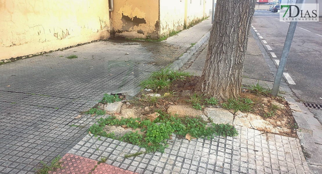 Vecinos de San Lázaro en Mérida: "Llevamos años olvidados, nadie nos muestra el más mínimo de respeto"