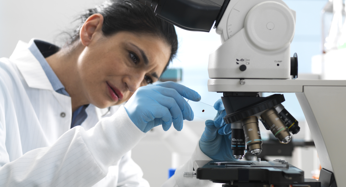Convocan seis ofertas de empleo para proyectos de ciencia, tecnología e innovación en Extremadura