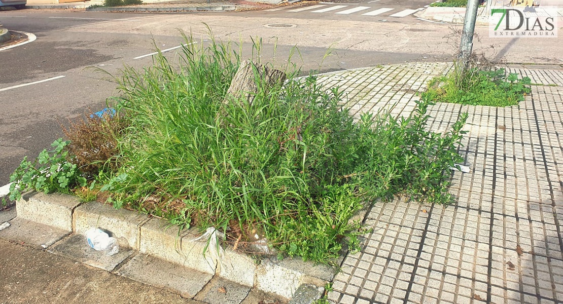 Vecinos de San Lázaro en Mérida: "Llevamos años olvidados, nadie nos muestra el más mínimo de respeto"
