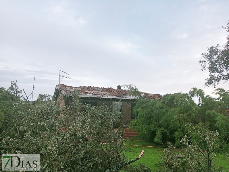 Cuantiosos destrozos a las afueras de Badajoz tras el paso de un vendaval esta madrugada