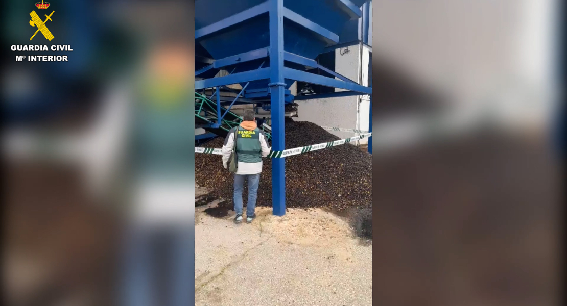 Detenidas dos personas por estafar a 18 agricultores en la compra de aceituna