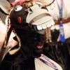 COMBA 2024: Actuación y entrevista de 'La Mascarada' en preliminares