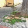 Vecinos de San Lázaro en Mérida: "Llevamos años olvidados, nadie nos muestra el más mínimo de respeto"