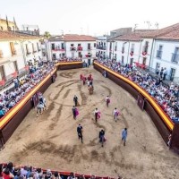 Piden cerrar una escuela taurina extremeña por ir en contra de la ONU