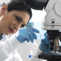 Convocan seis ofertas de empleo para proyectos de ciencia, tecnología e innovación en Extremadura