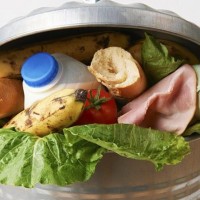 Proyecto de ley para evitar el desperdicio de alimentos