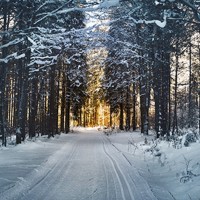 Tráfico pide prudencia en los desplazamientos por nevadas en la zona centro