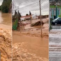 Rescatan a personas y animales que se estaban ahogando en la Dehesilla de Calamón (BA)