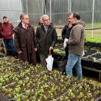 Los viveros de la región garantizan el futuro de la dehesa extremeña
