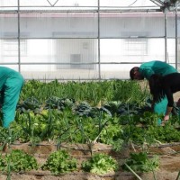 Jornada de coworking entre productores agroalimentarios y el sector turístico hostelero en las Hurdes