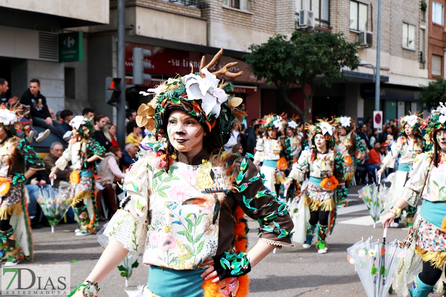 Disfruta de los mejores planos generales del desfile del Carnaval de Badajoz 2024