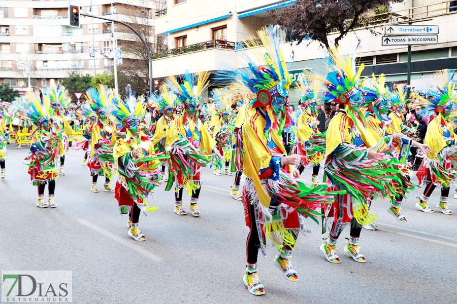 Gran nivel en el desfile infantil de comparsas del Carnaval 2024