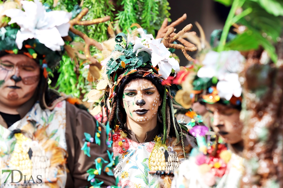 Los mejores primeros planos del gran desfile del Carnaval de Badajoz 2024
