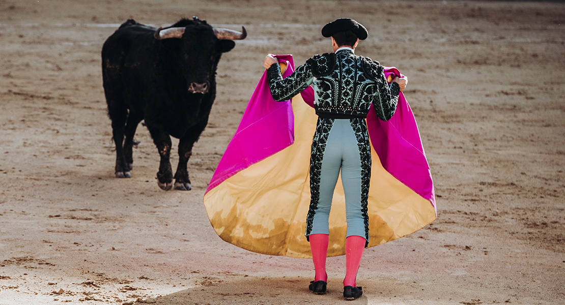 Plantean disolver el Patronato de Tauromaquia para dedicar los fondos a una cuestión clave
