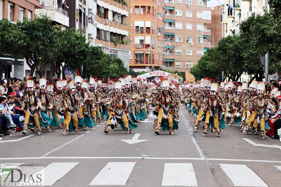 Disfruta de los mejores planos generales del desfile del Carnaval de Badajoz 2024