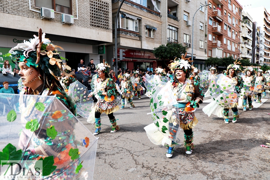 Disfruta de los mejores planos generales del desfile del Carnaval de Badajoz 2024