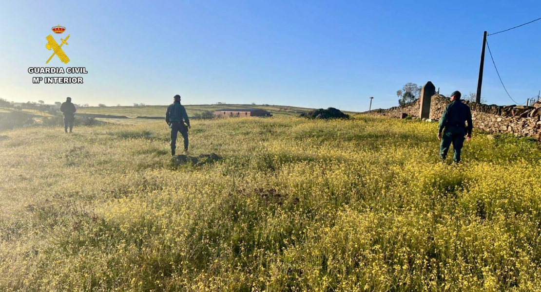 Continúa la búsqueda de Vicente en Hinojal