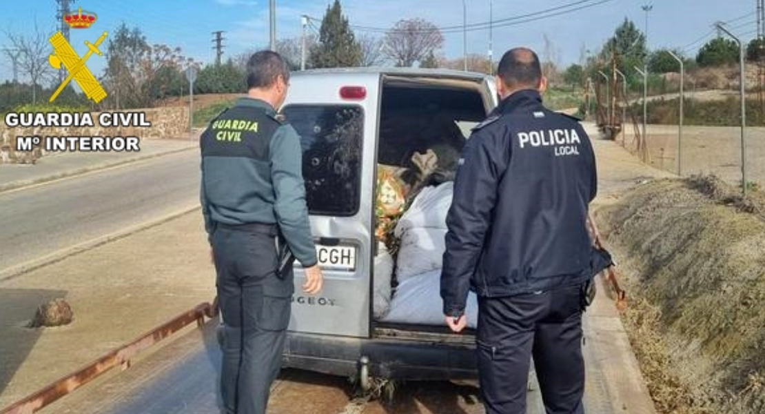 Investigan a dos vecinos de Aceuchal por el robo de más de una tonelada de aceitunas