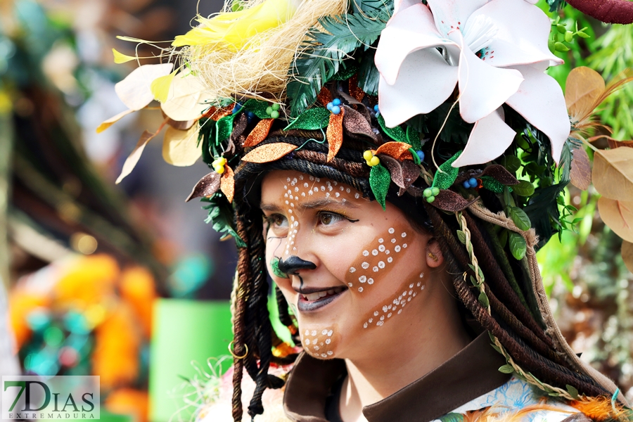 Los mejores primeros planos del gran desfile del Carnaval de Badajoz 2024