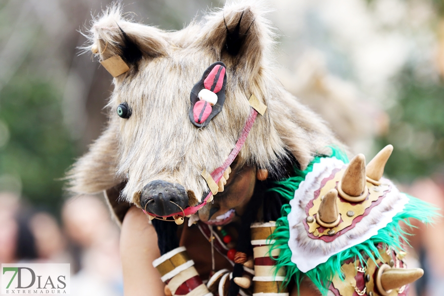 Los mejores primeros planos del gran desfile del Carnaval de Badajoz 2024