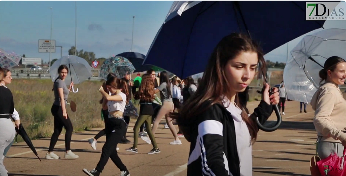 La Movida trae la fantasía este carnaval gracias al 'Origen del Bosque'