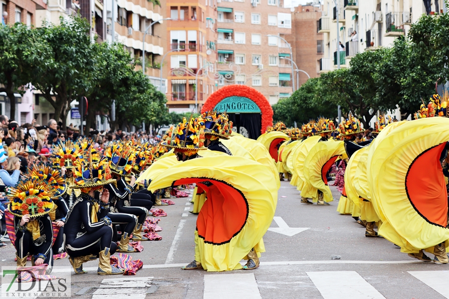 Disfruta de los mejores planos generales del desfile del Carnaval de Badajoz 2024