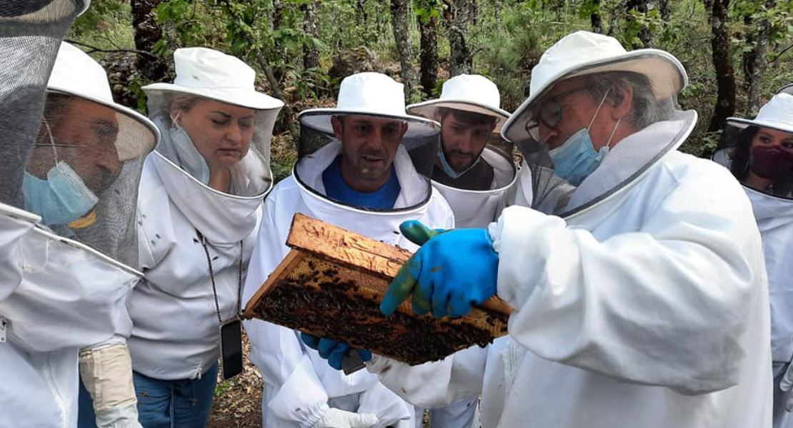 Desarrollo Rural desarrollo estas Jornadas Técnicas por el Día del Apicultor