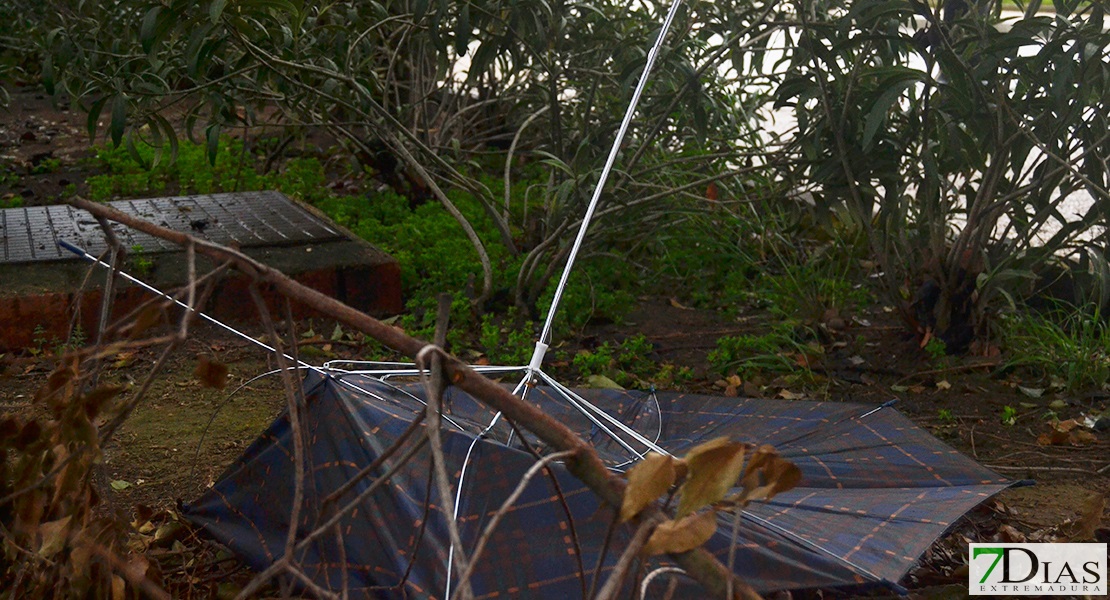 Alerta amarilla por lluvia y viento en Extremadura