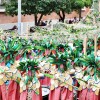 Disfruta de los mejores planos generales del desfile del Carnaval de Badajoz 2024