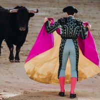 Plantean disolver el Patronato de Tauromaquia para dedicar los fondos a una cuestión clave
