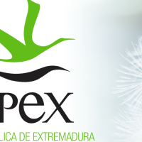 EMPLEO: entra en esta bolsa y la Junta te llamará para trabajar cuando te necesite
