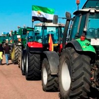 JUEX: "Es indigno vivir una situación semejante, el campo ha despertado"