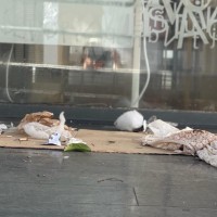 Denuncian el estado de la biblioteca Santa Ana: excrementos, droga y sexo en la vía pública