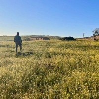 Continúa la búsqueda de Vicente en Hinojal