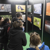Monfragüe acogerá la Feria Internacional de Turismo Ornitológico