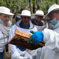 Desarrollo Rural desarrolla estas Jornadas Técnicas por el Día del Apicultor