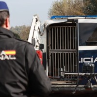 La Policía Nacional paraliza la búsqueda de Manoli en Badajoz