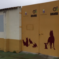 Denuncian que el Ayto. de Badajoz "elimine la tasa de adopciones"