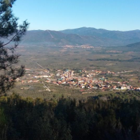 La fiesta del Árbol dará protagonismo a Villanueva de la Sierra (CC)