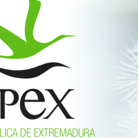 EMPLEO: se ofertan 5 plazas en Extremadura con este perfil