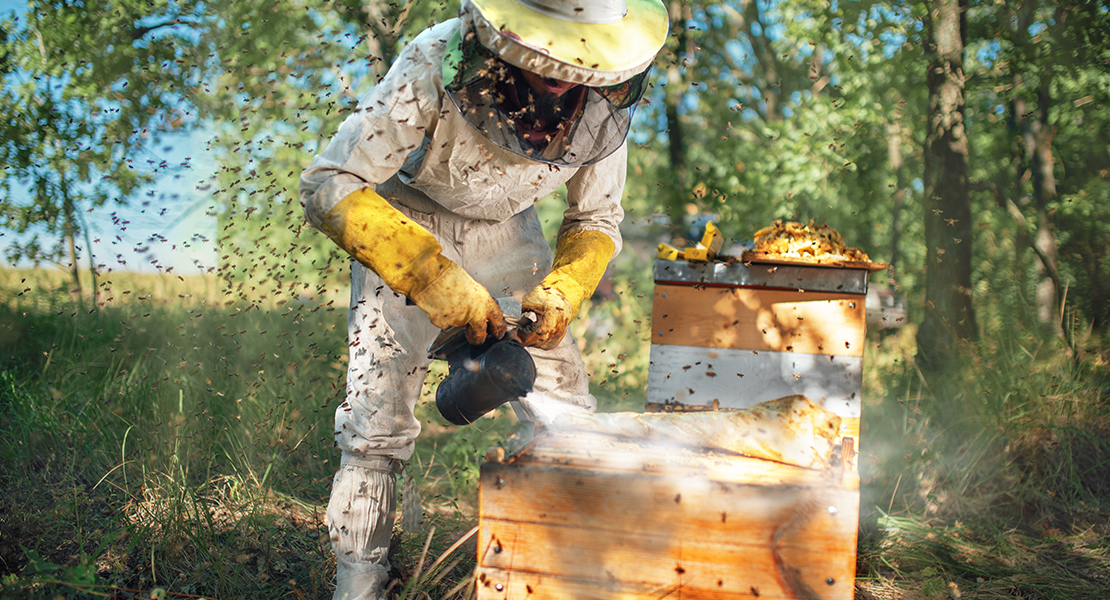 Apicultores extremeños soltarán abejas si no les dejan manifestarse