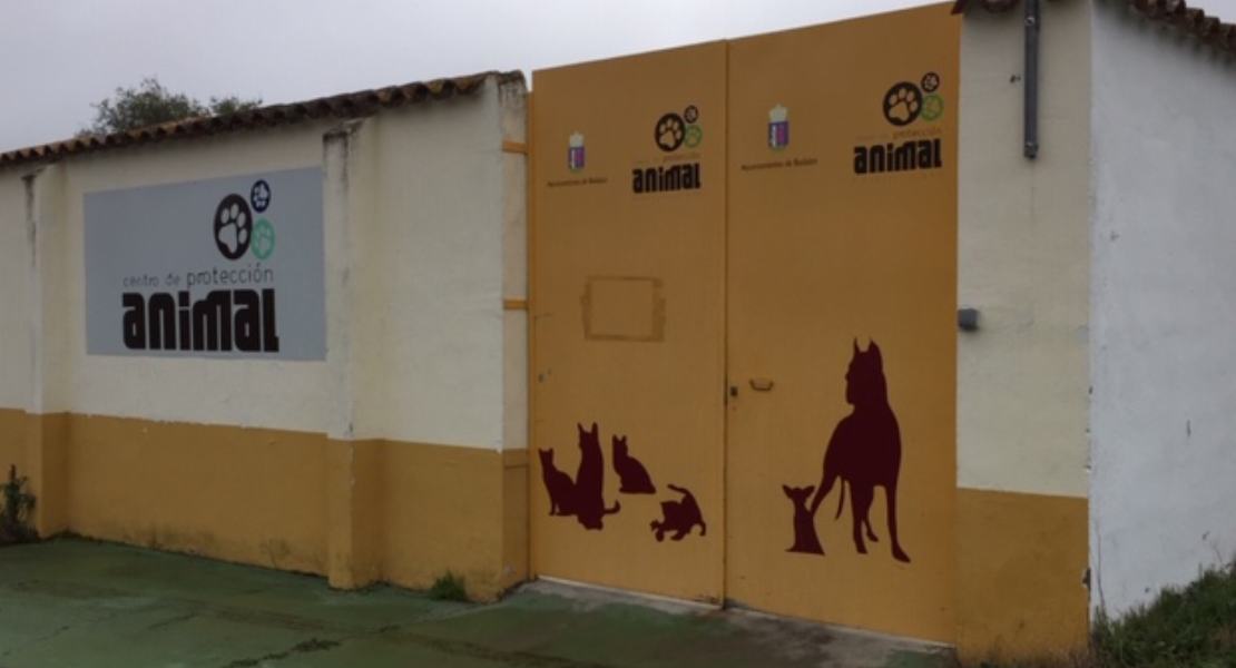 Denuncian que el Ayto. de Badajoz "elimine la tasa de adopciones"