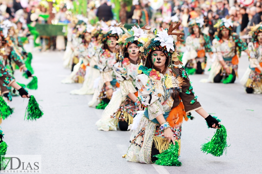 Gran nivel en el desfile infantil de comparsas del Carnaval 2024