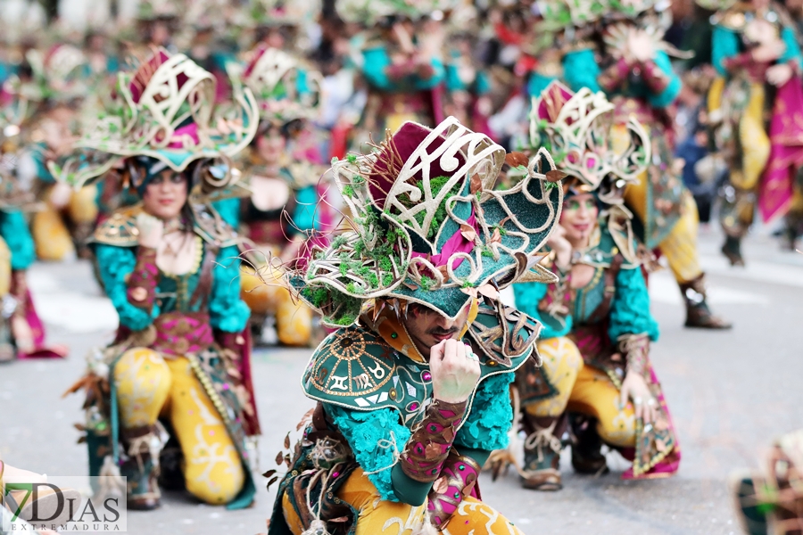 Disfruta de los mejores planos generales del desfile del Carnaval de Badajoz 2024