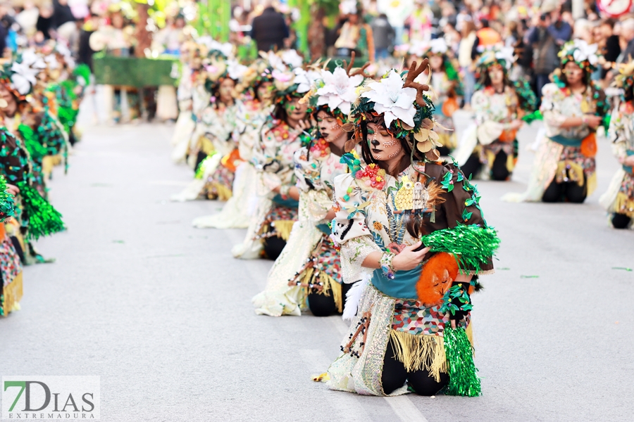 Gran nivel en el desfile infantil de comparsas del Carnaval 2024