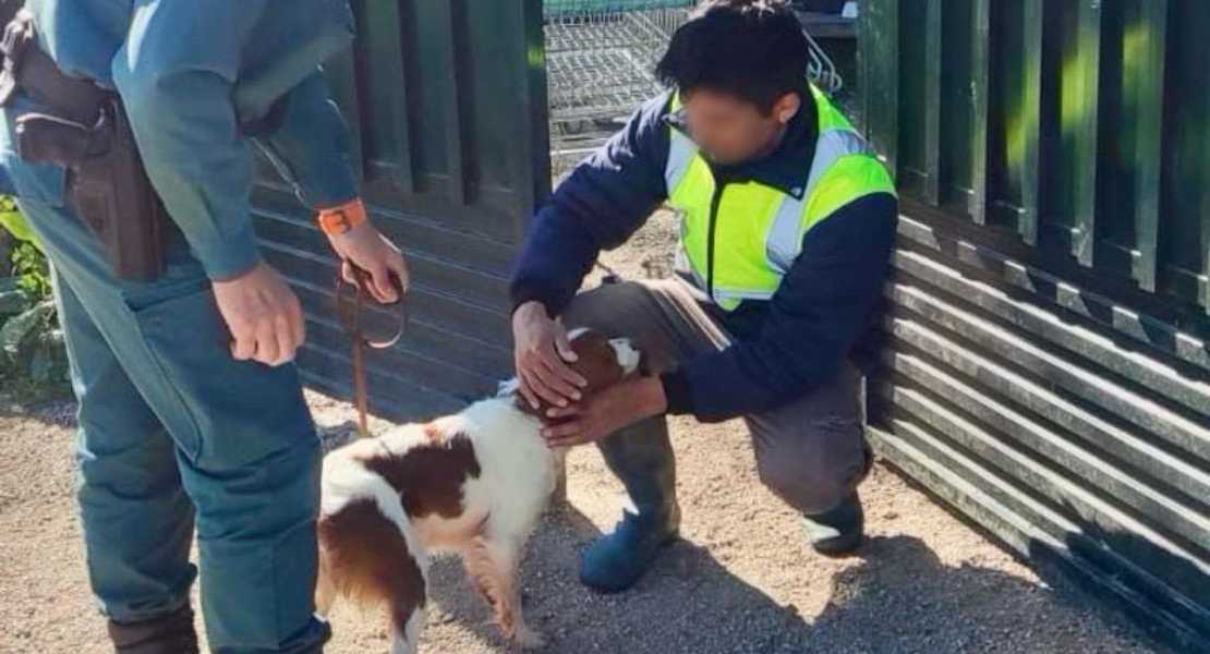 Investigan a un vecino de Don Benito por abandonar y simular la muerte de su perro