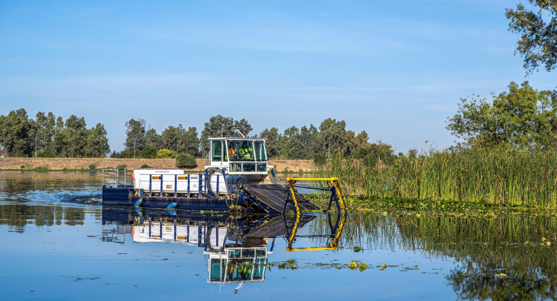 El Gobierno informa sobre las actuaciones en el Guadiana para controlar el Nenúfar Mejicano