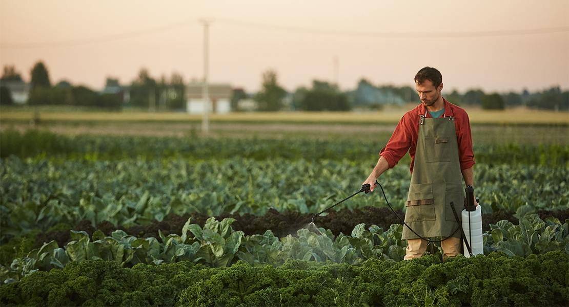 Oposición a la ley que pone "más restricciones a agricultores y ganaderos" extremeños