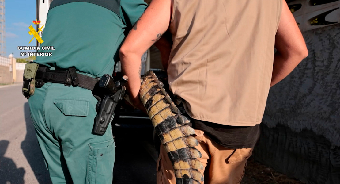 La Guardia Civil rescata varios animales protegidos